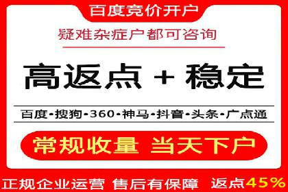 SEM服务公司成功案例解读